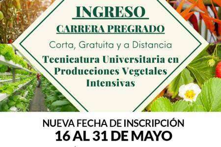 Tecnicatura Universitaria en producciones vegetales intensivas