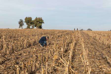 Día mundial de la conservación del suelo:  la importancia de cuidar este recurso clave
