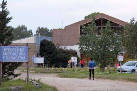 Ingreso al primer año de la Escuela de Agricultura y Ganadería