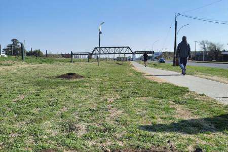 Proyecto de forestación: transitar con precaución por la Senda de la Salud