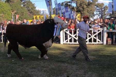 Desfile de los grandes campeones 2022