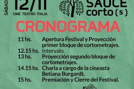 Este sábado 12 no te pierdas la 2° edición del Festival de Cine de Coronel Suárez “Sauce Corto(s)”