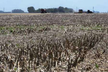 Sequía: Axel Kicillof declaró estado de Emergencia y Desastre Agropecuario en 33 municipios bonaerenses