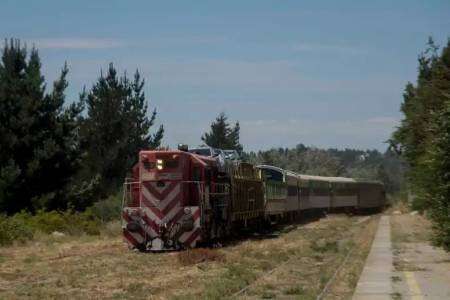 El tren llegó a Bariloche con la bandeja de autos, 44 horas después de salir de Viedma