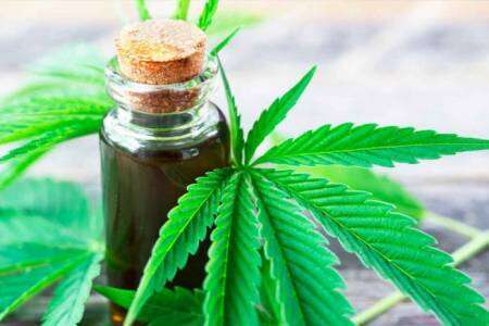 Extienden la vigencia del certificado de autorización para el autocultivo de marihuana con fines medicinales