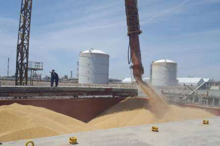Detectan faltantes de granos por $188 millones en una cerealera de Bahía 
