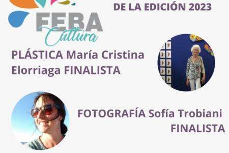 Cuatro artistas suarenses, finalistas del Premio Provincial FEBA Cultura