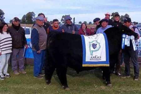 La Chingola se llevó el premio mayor en la expo de Coronel Dorrego