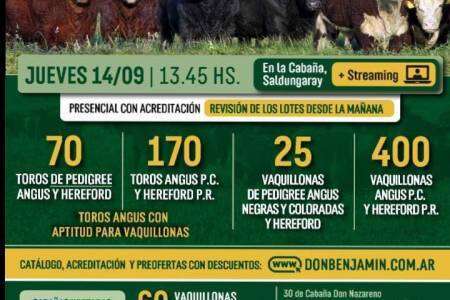 Gran Remate Anual de Estancias y Cabaña Don Benjamín en Santo Tomás de la Sierra