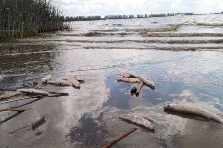 El fenómeno que puede hacer desaparecer a las lagunas en el sudoeste bonaerense