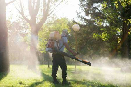 Dengue en la provincia: 41 municipios en brote, más de 35 mil casos y 25 personas fallecidas