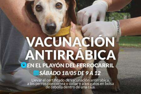 Campaña de vacunación antirrábica en el playón del ferrocarril