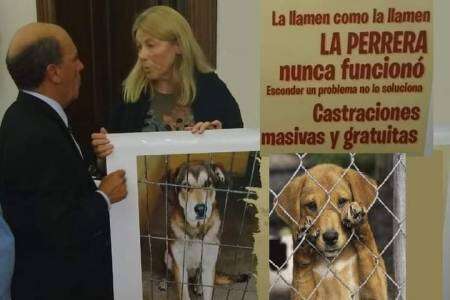 "En Coronel Suárez hay mucho maltrato animal"