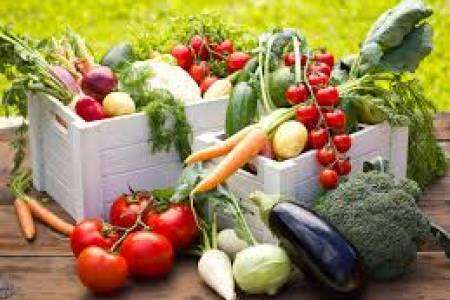 Huerta de primavera y verano. Claves para sembrar  correctamente , aprender a compostar y lograr un buen suelo