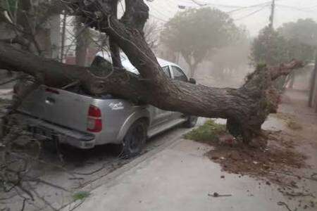 Un fuerte temporal azotó San Luis: dejó grandes destrozos, cortes de luz y árboles caídos
