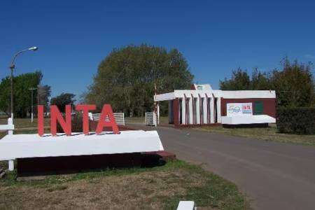 Ajuste en el INTA: el Gobierno confirmó la apertura de retiros voluntarios y la subasta de 600 vehículos
