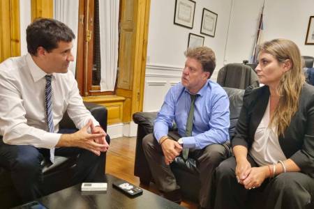 Desde la UCR trabajan por la implementación de la Boleta Única en la Provincia