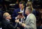 La Cámara de Diputados compró 200 mates con bombilla por 554 mil pesos en forma exprés