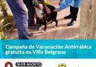 Campaña de Vacunación Antirrábica gratuita en Villa Belgrano