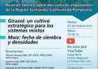 INTA organiza una reunión técnica sobre el girasol  y el maíz