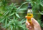 La Corte Suprema decidió que obras sociales deben cubrir el tratamiento con cannabis