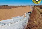 La Sociedad Rural de Cnel. Suarez repudia las roturas de silo bolsas