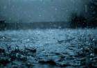 Después de más de 3 meses, finalmente llegó la lluvia