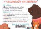 Castración y Vacunación Antirrábica Gratuita