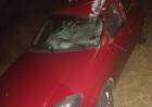 Un auto chocó contra un búfalo en la Ruta 76