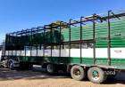 Inicia el Plan para verificar el estado de habilitación de medios de transportes de animales