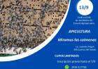 Charla técnica de apicultura "Miramos las colmenas"