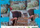104º Exposición Rural de Coronel Suárez: programa y valores