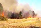 Controlan enorme incendio cerca del Dique Paso de las Piedras
