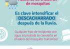 Sin mosquito no hay Dengue