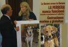 "En Coronel Suárez hay mucho maltrato animal"