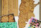 Concientización medioambiental: Estudiantes y docentes crean juegos para alumnos de escuelas rurales