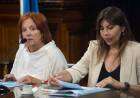 Senado: la suspensión de las PASO obtuvo dictamen y quedó lista para ser sancionada la semana próxima
