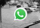 Grupo de WhatsApp para encontrar patentes