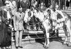 La épica de Mancha y Gato: los caballos criollos que cruzaron América hace 100 años