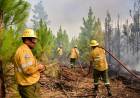 Cuáles son las regiones bonaerenses con "riesgo extremo" por los incendios