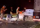 Fatal: atropelló dos carpinchos y se mató contra un camión en Ruta 3